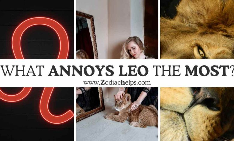 What Annoys Leo The Most?
