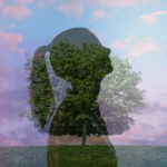 Zodiac Signs Step Into Spiritual Growth and Inner Strength Before February Ends