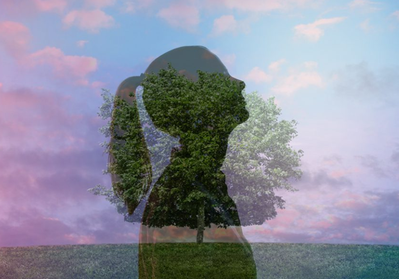 Zodiac Signs Step Into Spiritual Growth and Inner Strength Before February Ends
