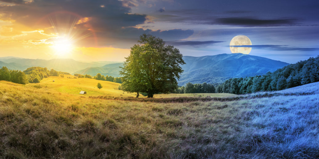 How The Four Seasons Influence Zodiac Signs And Personality