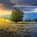 How The Four Seasons Influence Zodiac Signs And Personality