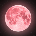 Pink Moon April 2026 Horoscope What Each Zodiac Sign Can Expect