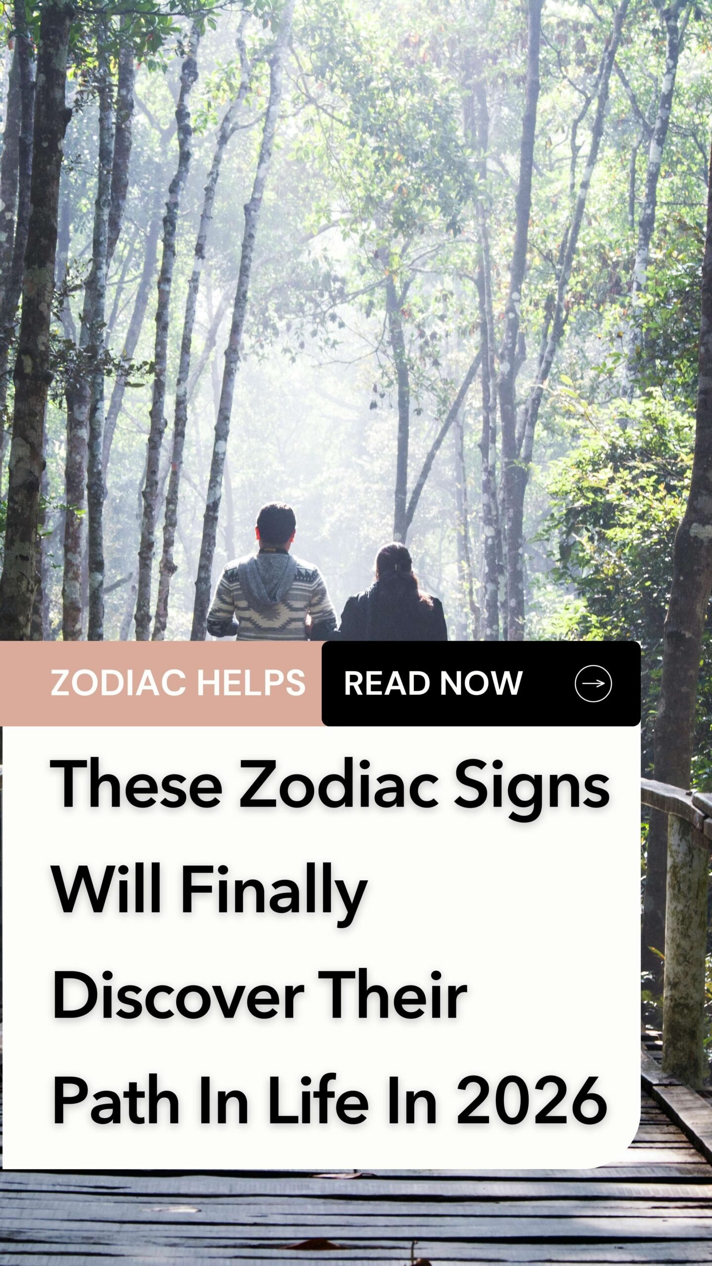 These Zodiac Signs Will Finally Discover Their Path In Life In 2026