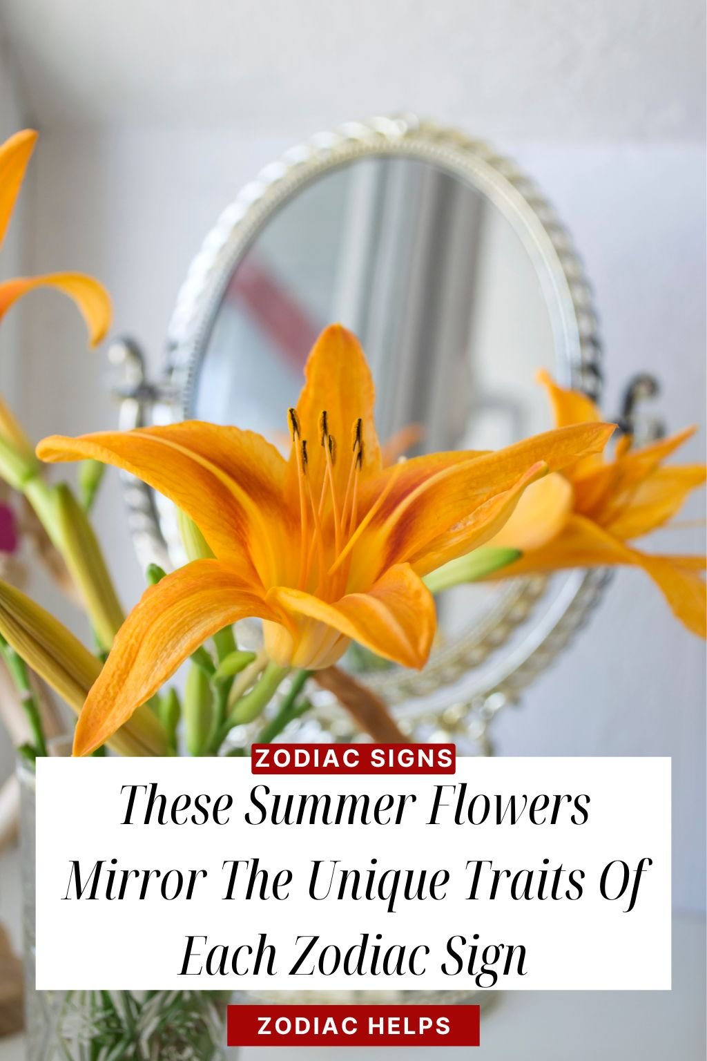 These Summer Flowers Mirror The Unique Traits Of Each Zodiac Sign