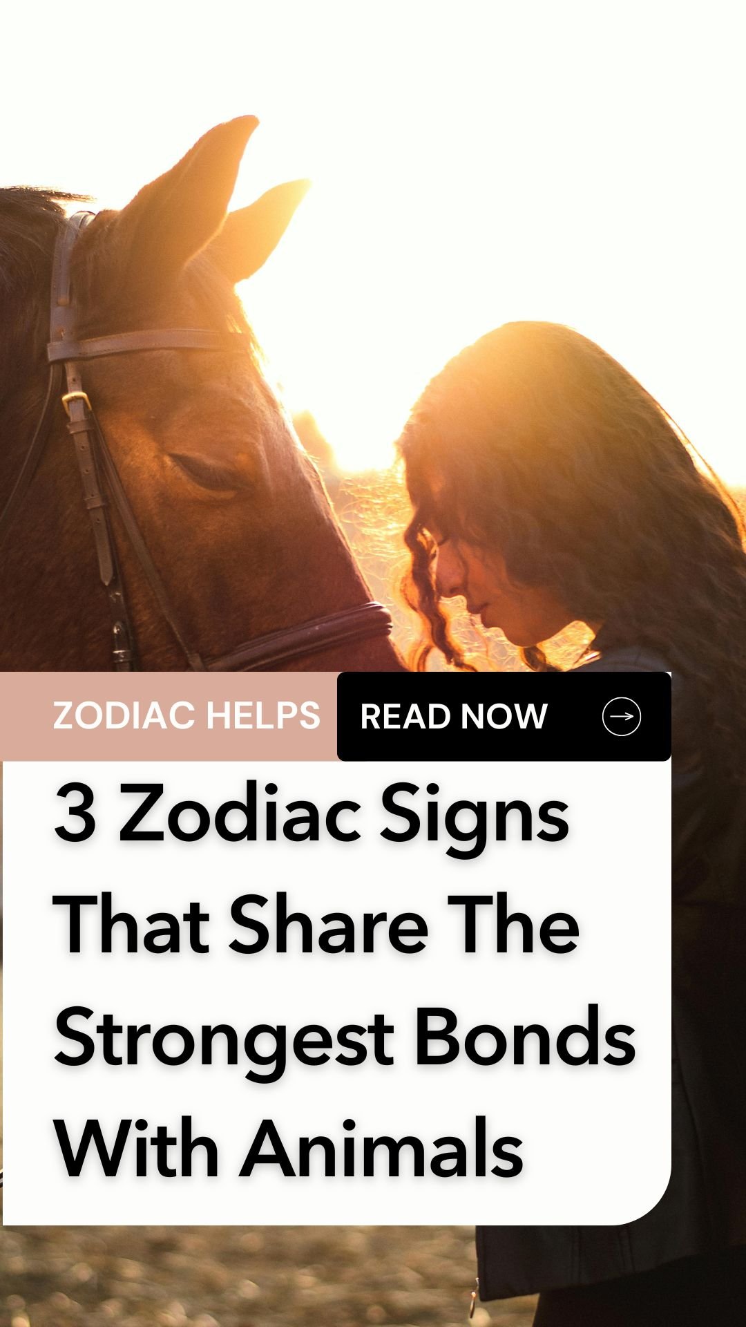 3 Zodiac Signs That Share The Strongest Bonds With Animals