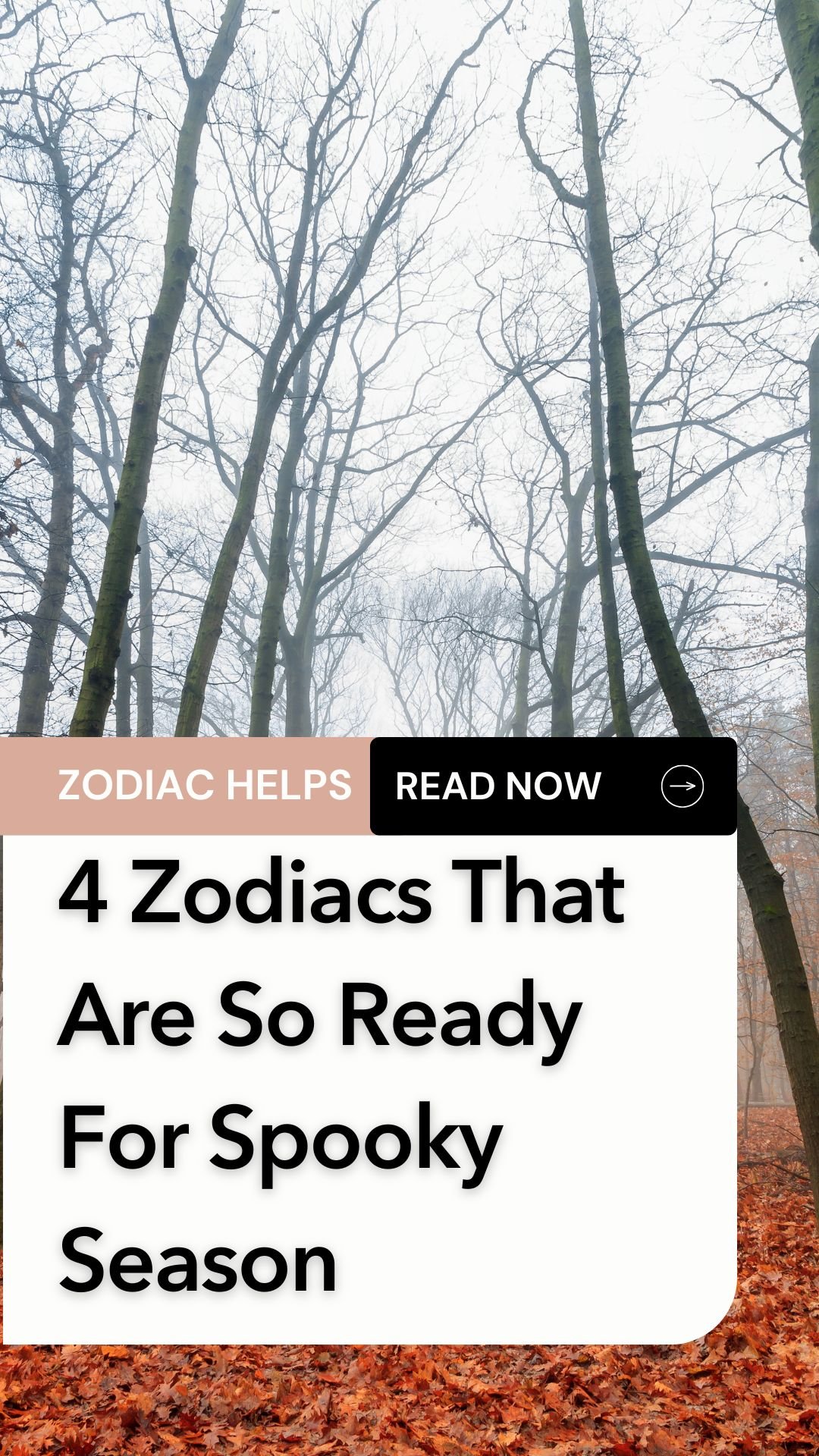 4 Zodiacs That Are So Ready For Spooky Season