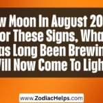 New Moon In August 2026: For These Signs, What Has Long Been Brewing Will Now Come To Light.