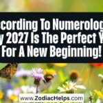According To Numerology: Why 2027 Is The Perfect Year For A New Beginning!