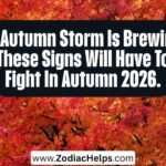 An Autumn Storm Is Brewing: These Signs Will Have To Fight In Autumn 2026.