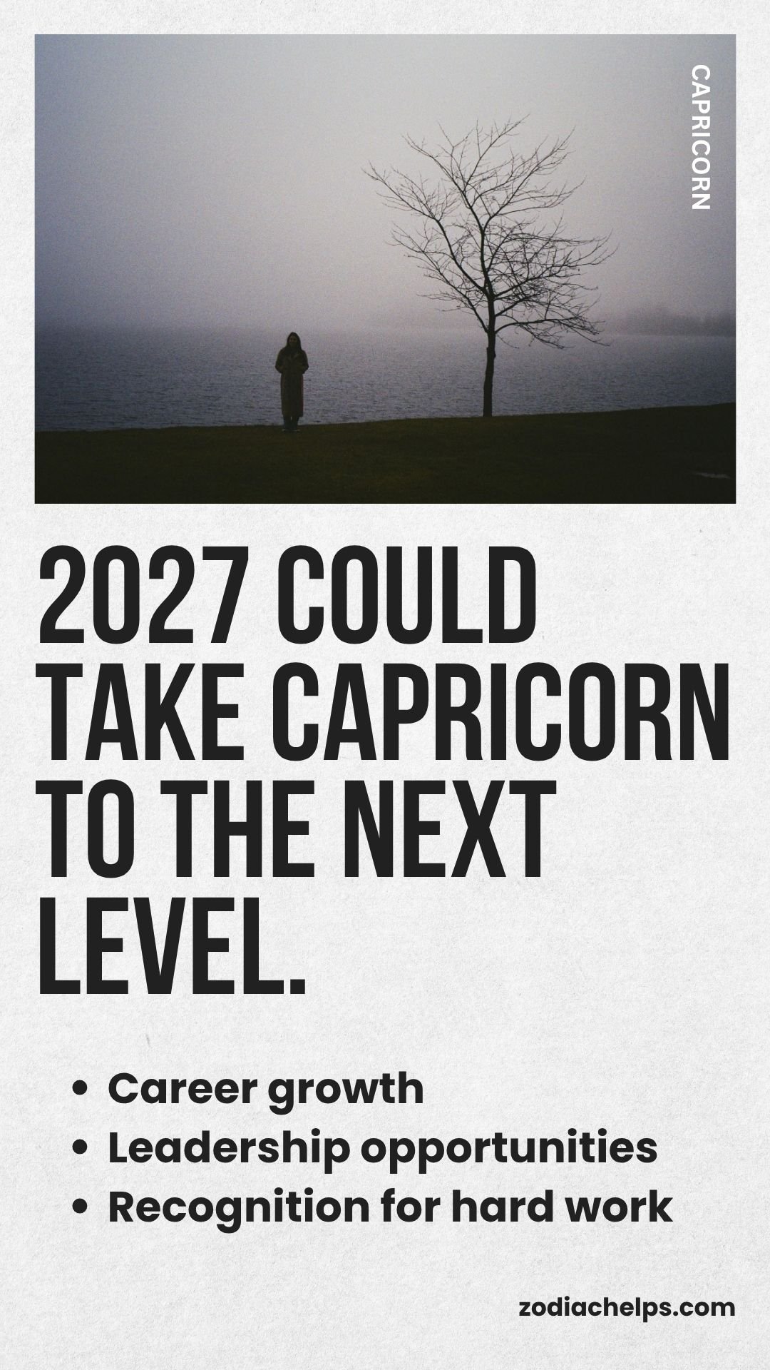 Capricorn And The Year Of Career Growth