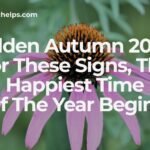 Golden Autumn 2026: For These Signs, The Happiest Time Of The Year Begins