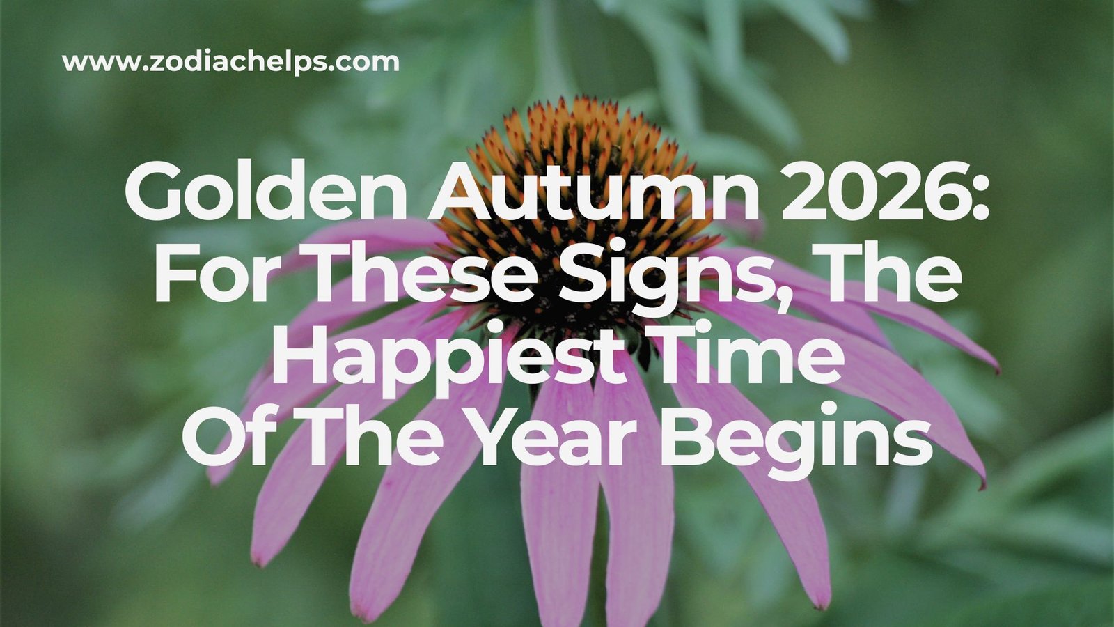 Golden Autumn 2026: For These Signs, The Happiest Time Of The Year Begins