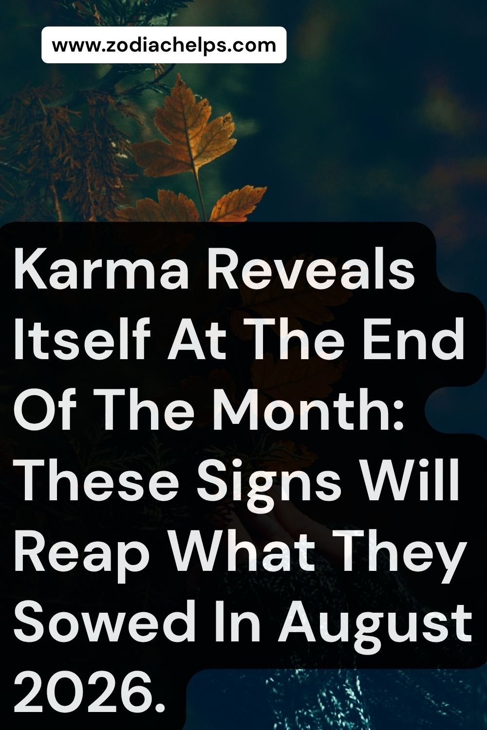 Karma Reveals Itself At The End Of The Month: These Signs Will Reap What They Sowed In August 2026.