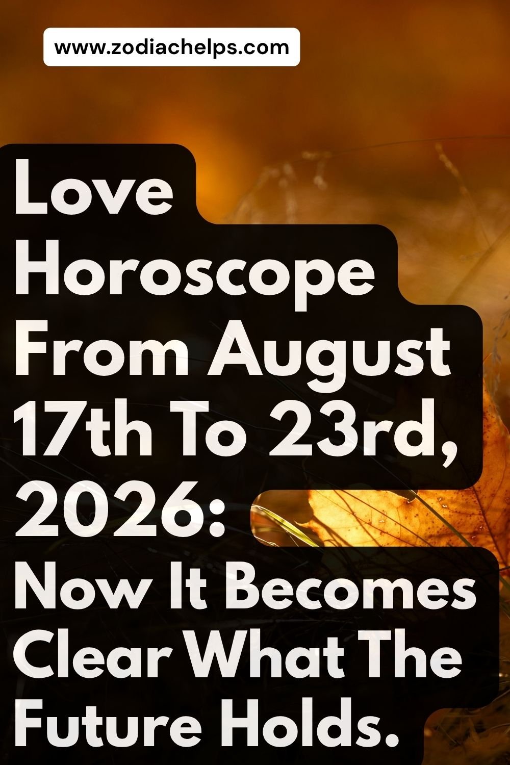 Love Horoscope From August 17th To 23rd, 2026: Now It Becomes Clear What The Future Holds.