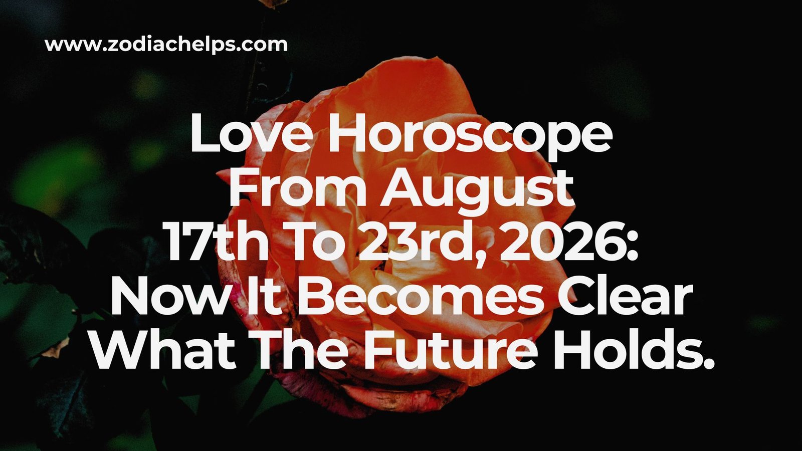 Love Horoscope From August 17th To 23rd, 2026: Now It Becomes Clear What The Future Holds.