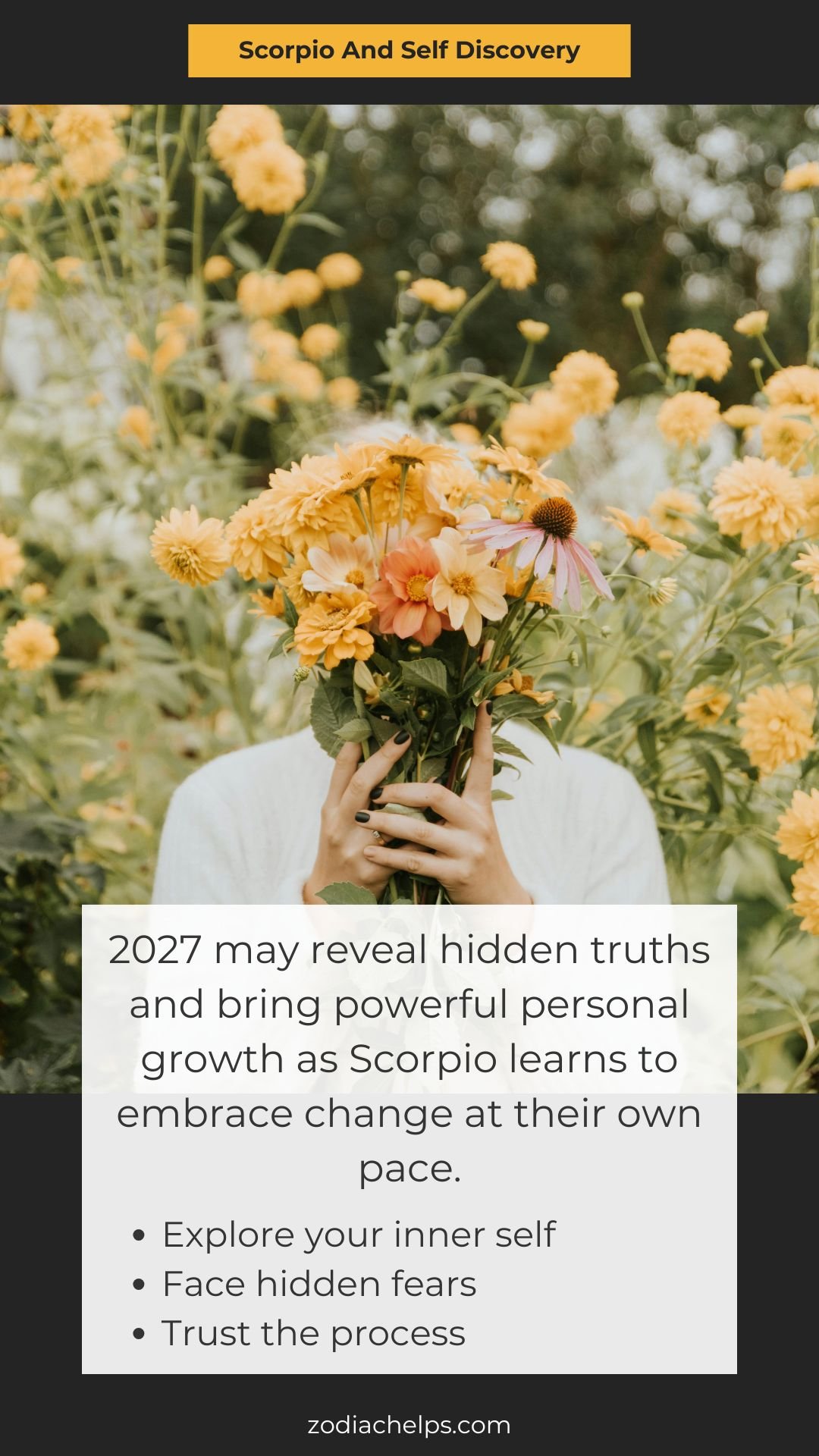 Scorpio And The Push Toward Self Discovery