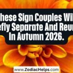 These Sign Couples Will Briefly Separate And Reunite In Autumn 2026.