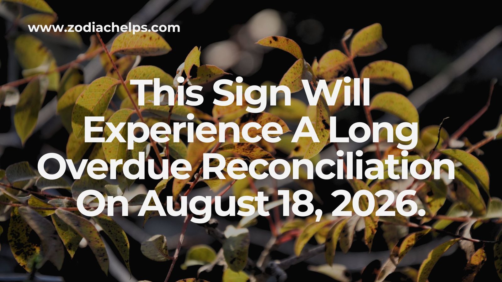 This Sign Will Experience A Long Overdue Reconciliation On August 18, 2026.
