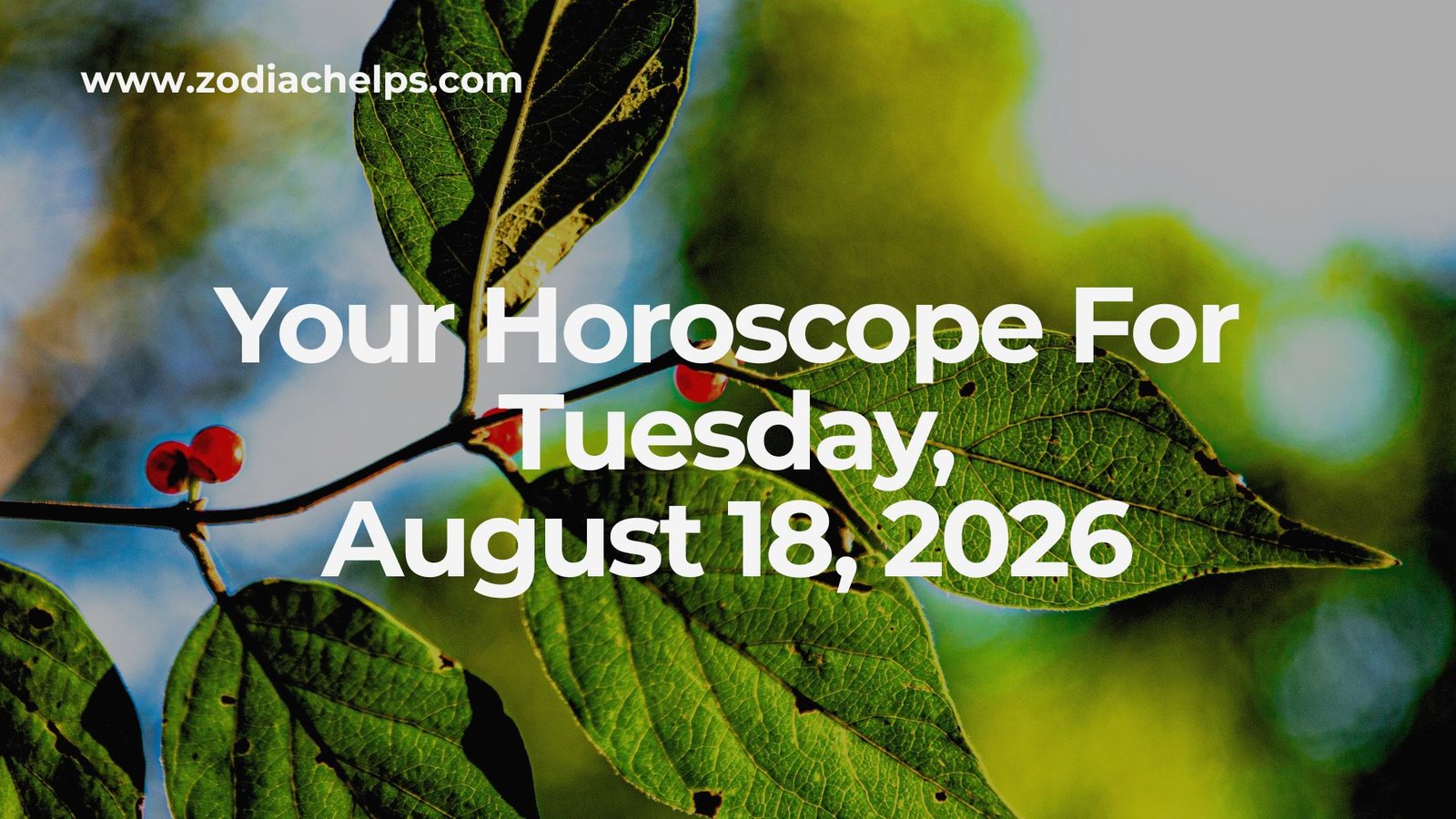 Your Horoscope For Tuesday, August 18, 2026