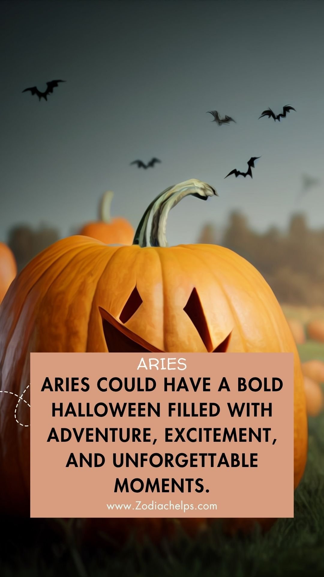 Aries Might Feel Bold And Adventurous