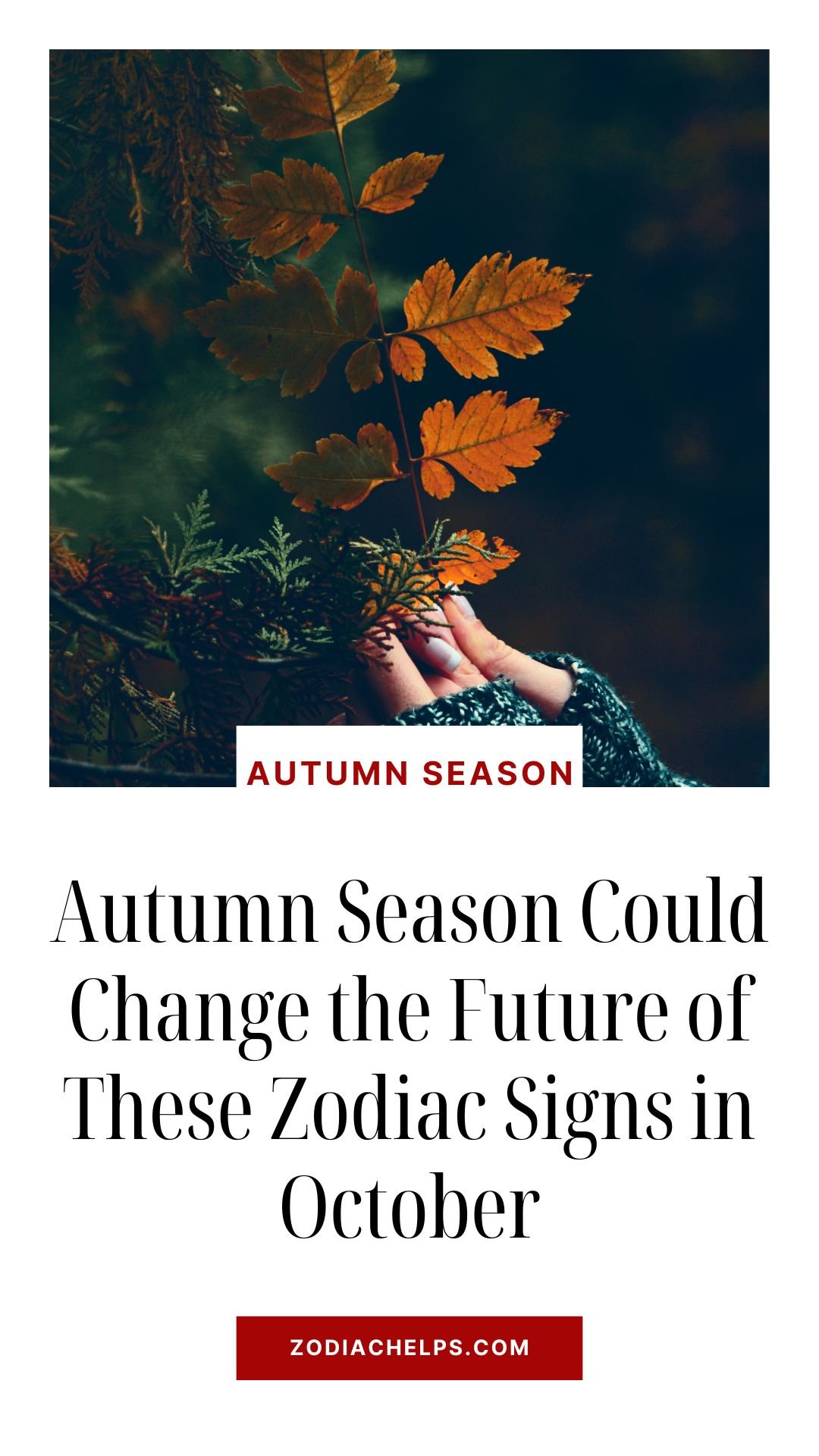 Why Autumn Feels So Powerful