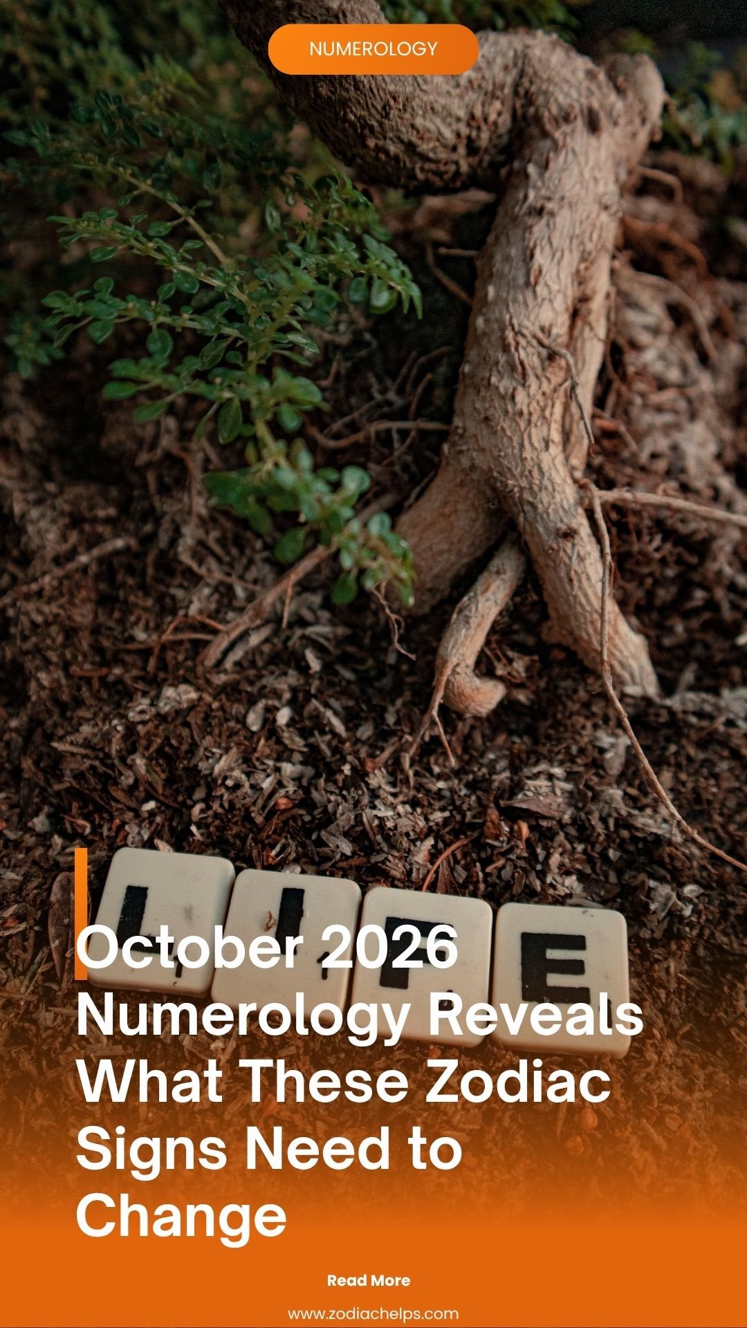 Why The Number 2 Matters This Month