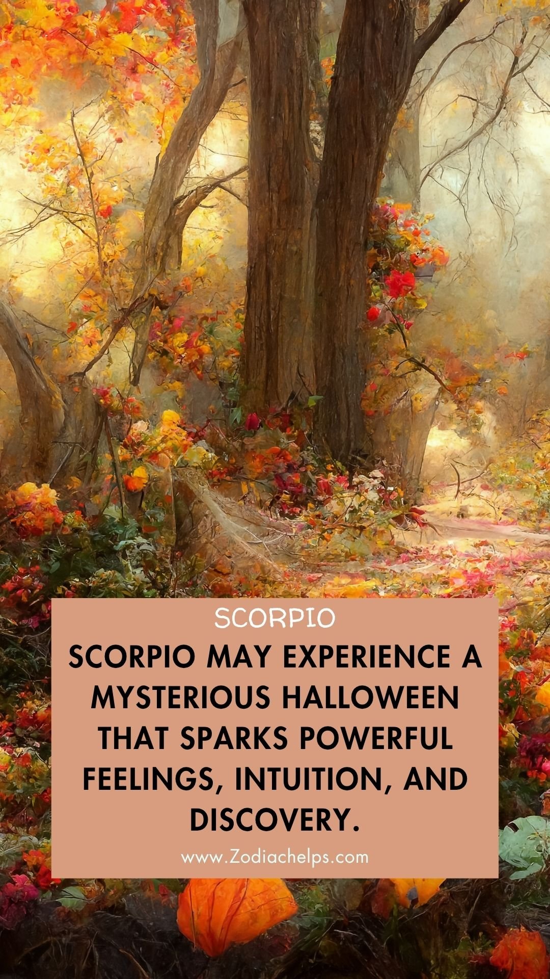 Scorpio May Have The Most Mysterious And Powerful Night