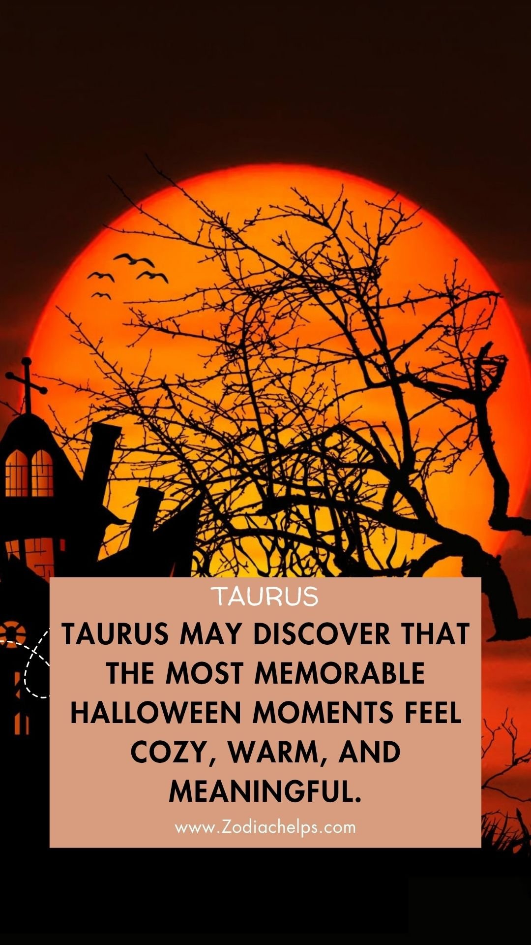 Taurus May Enjoy Cozy And Meaningful Moments