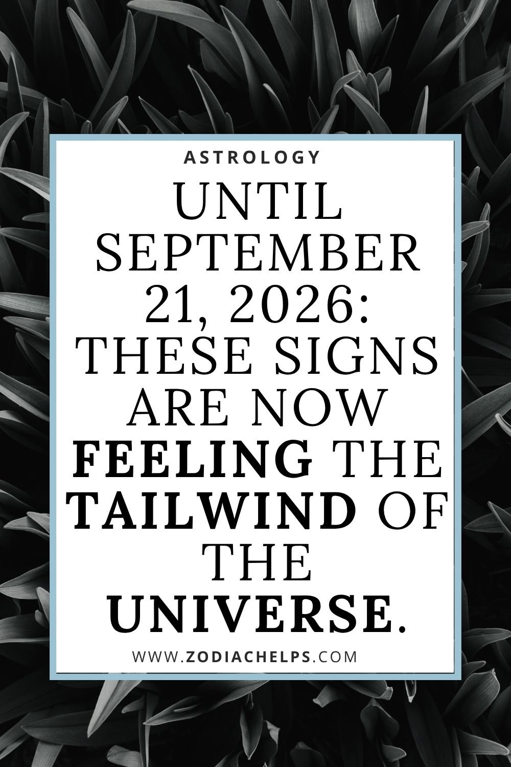 Until September 21, 2026: These Signs Are Now Feeling The Tailwind Of The Universe.