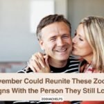 November Could Reunite These Zodiac Signs With the Person They Still Love