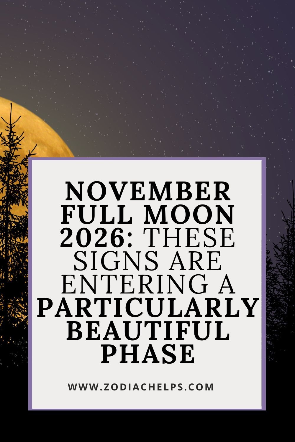 November Full Moon 2026: These Signs Are Entering A Particularly Beautiful Phase