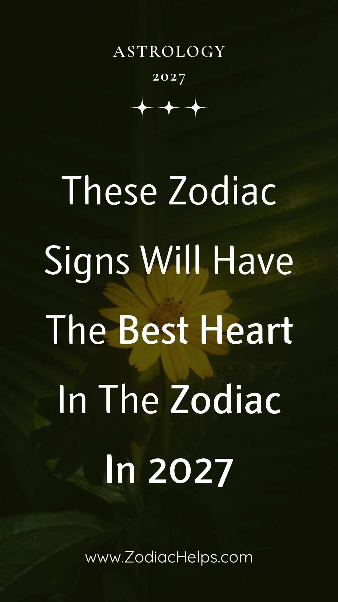 These Zodiac Signs Will Have The Best Heart In The Zodiac In 2027
